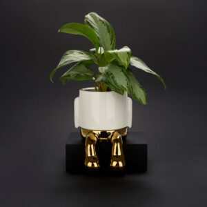 Gouden Bloempot met Hangende Poten