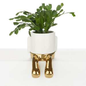 Gouden Bloempot met Hangende Poten
