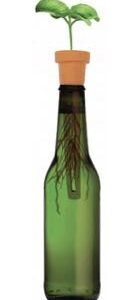 Bottle herb planters