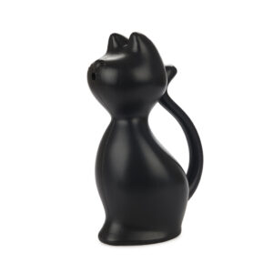 Gieter Kat Zwart