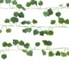 Ivy string lights