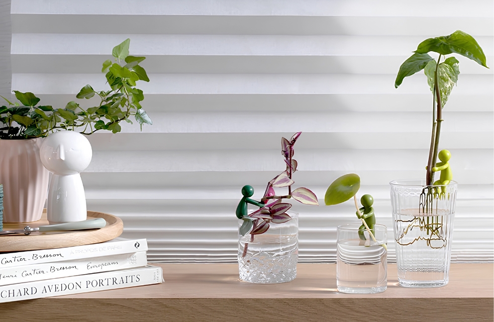 Drie groene Leafriend plantenhouders van Peleg Design ondersteunen stekjes in glazen met water