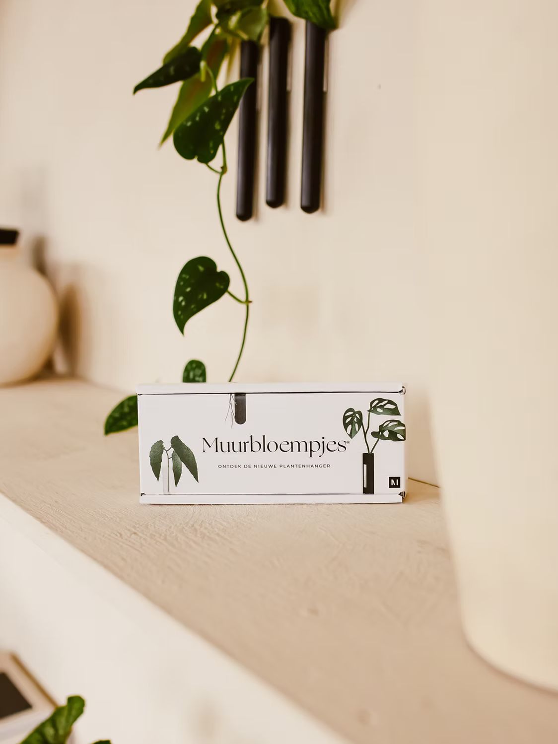 Verpakking van Muurbloempjes op een houten plank met de tekst Ontdek de nieuwe plantenhanger