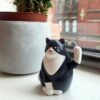 Solar Cat