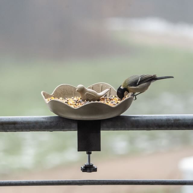 Vogelvoederschaal Balkon - Afbeelding 2