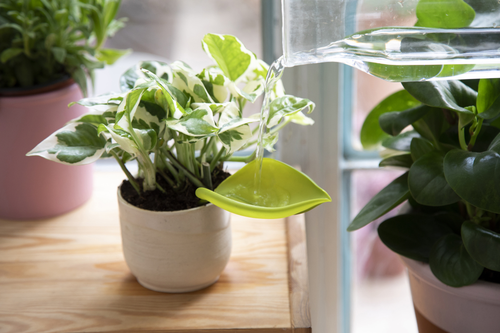 Leaflow watergeefhulp bij kamerplant op vensterbank