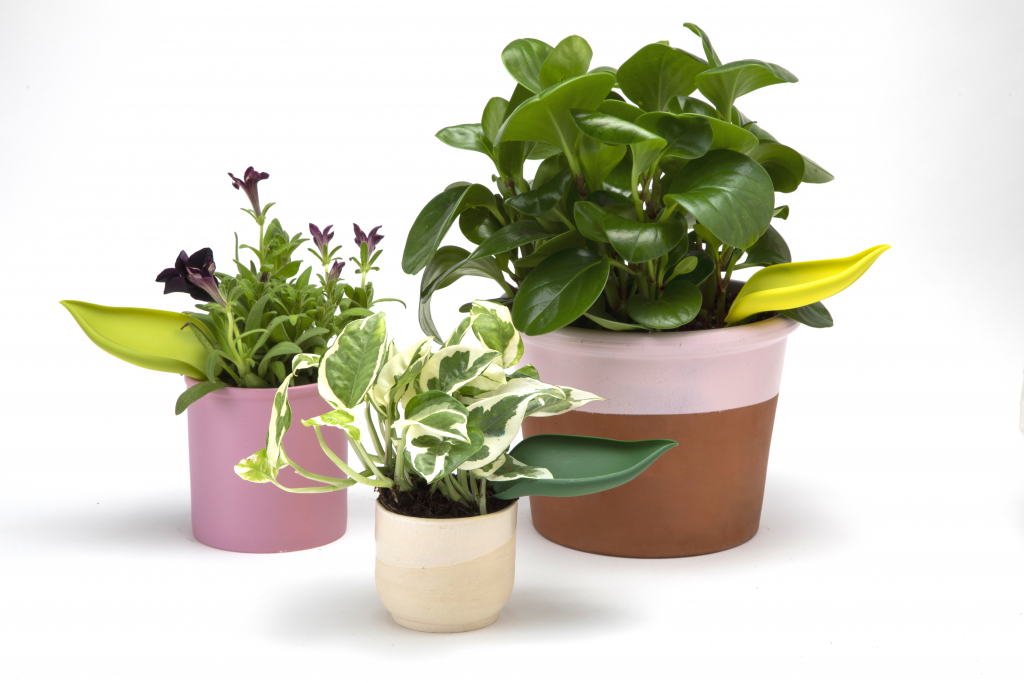 Peleg Design Leaflow set van 3 in verschillende groentinten